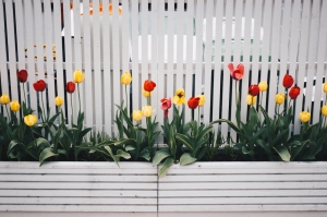 Revamp gardens with sleek long planters Revamp gardens with sleek long planters